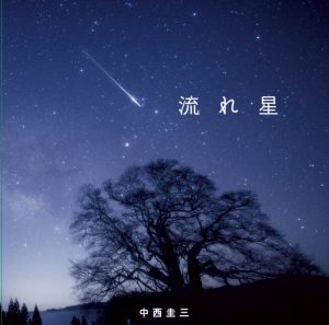 中西圭三『流れ星』ジャケット写真